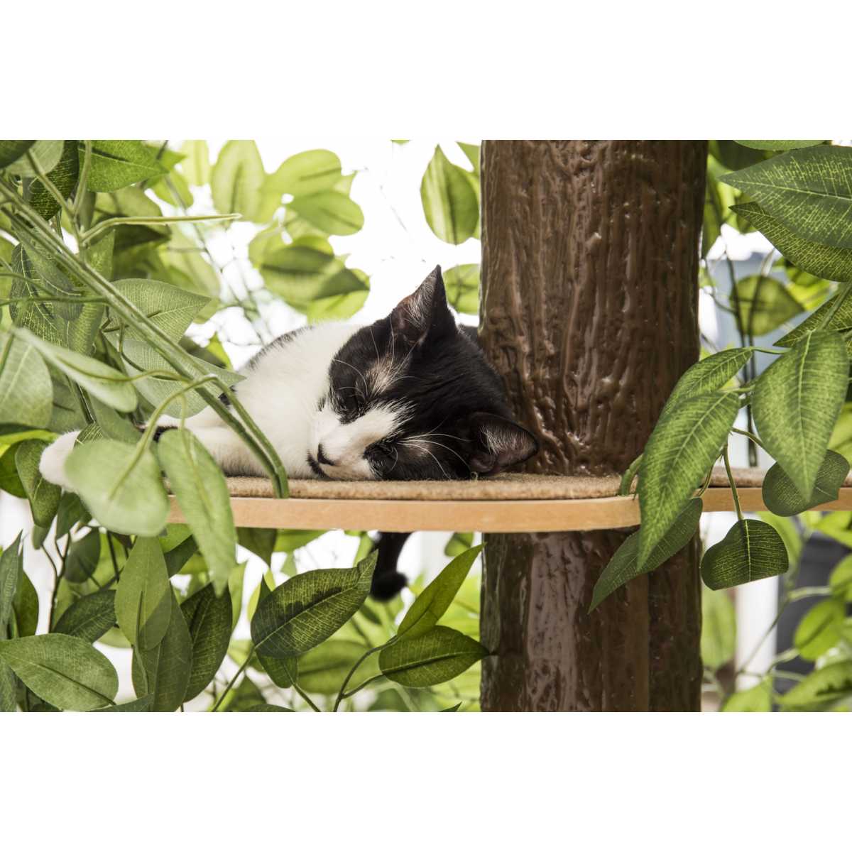 Luxury Cat  Tree Large Round Base